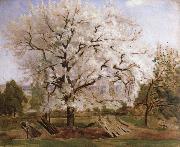 Carl Fredrik Hill apple tree in blossom Germany oil painting artist